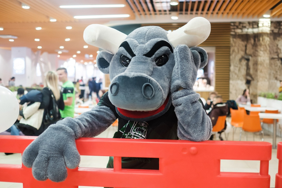 Автограф сессия ФК «Краснодар». Фотограф Саид Дакаев г. Краснодар