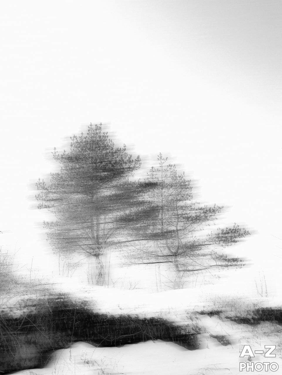 #ФОТОНЕДЕЛИ 09.02.2026. Женский семейный фотограф Тула Москва Захарова Анна