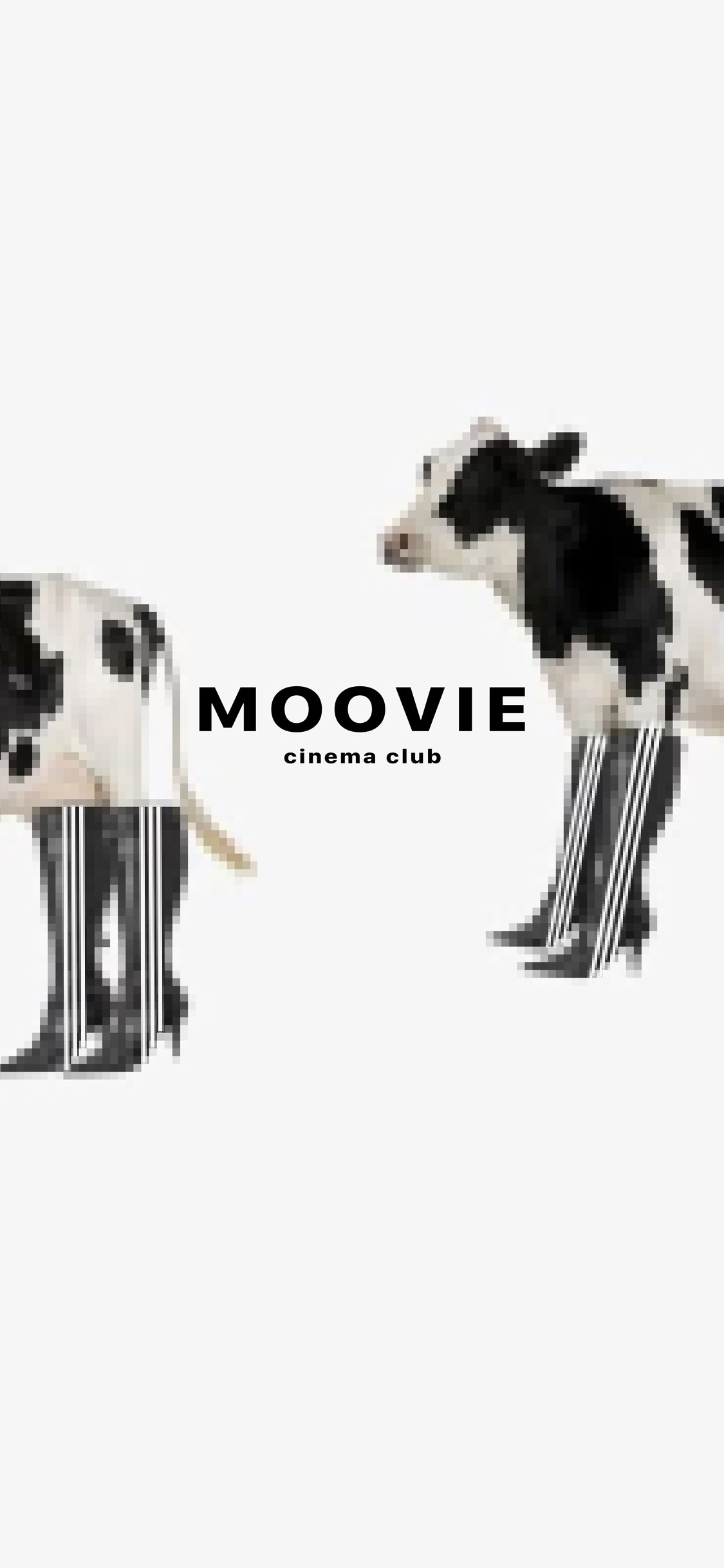 Posters «witches cinema club». Я — Мария, фотограф/фотохудожник в Санкт-Петербурге