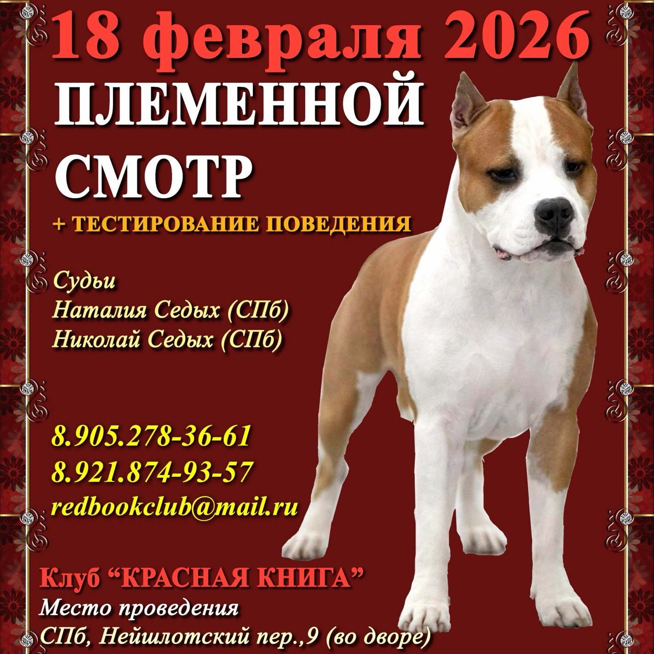 Племенной смотр 07.10.2022. Кинологический клуб РКФ РФСС СЕНСАЦИЯ