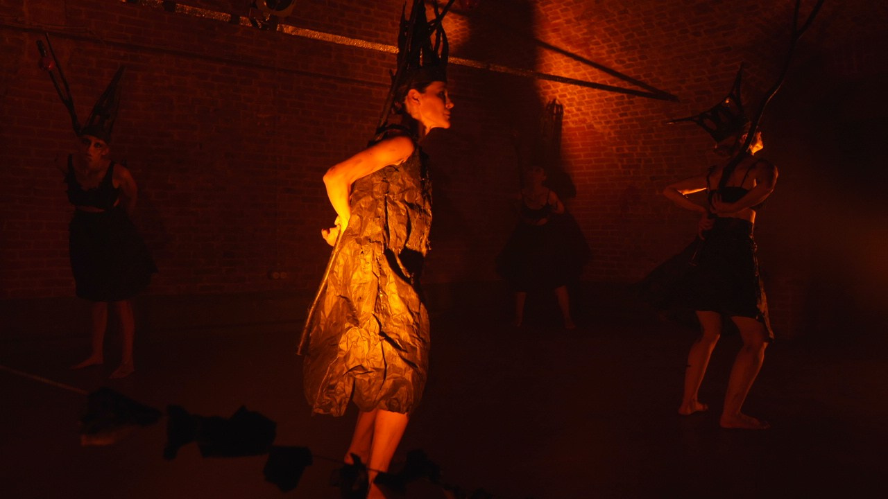 Красное дерево. Фото / Видеосъемка в Москве