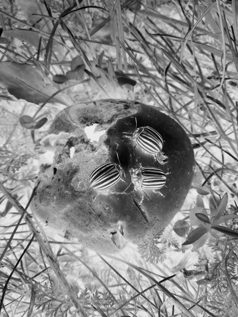 Аня Зайцева «Видимое-невидимое». Private image