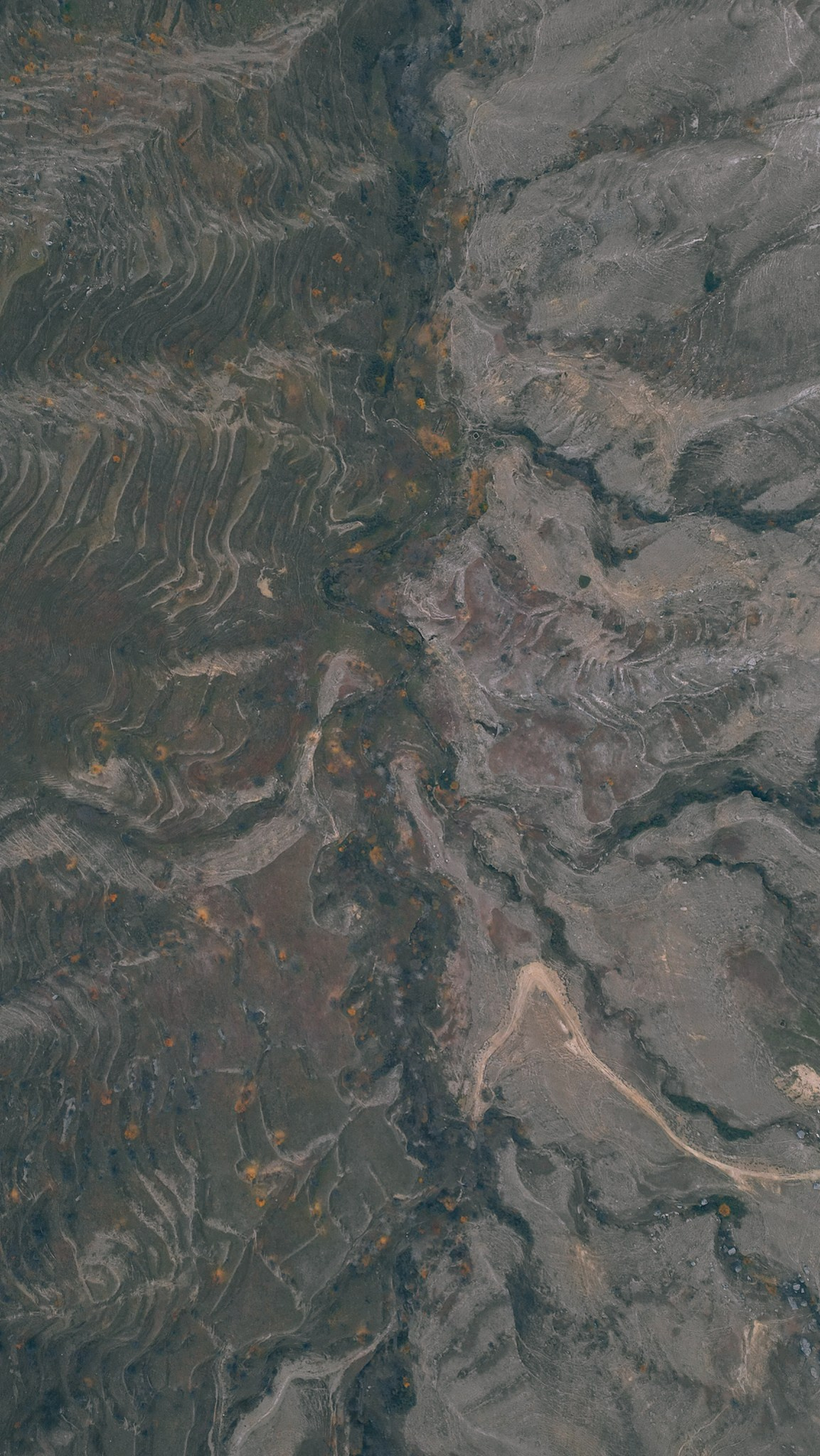 Дагестан 2023. Человек с фотокамерой