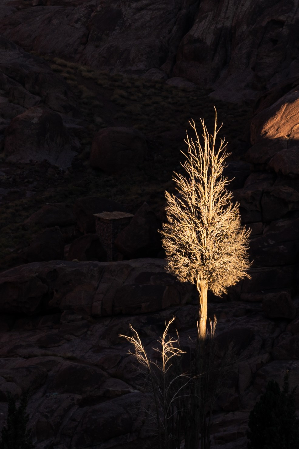 Пейзажи и архитектура. Портретный фотограф в Москве Евгений Кемайкин