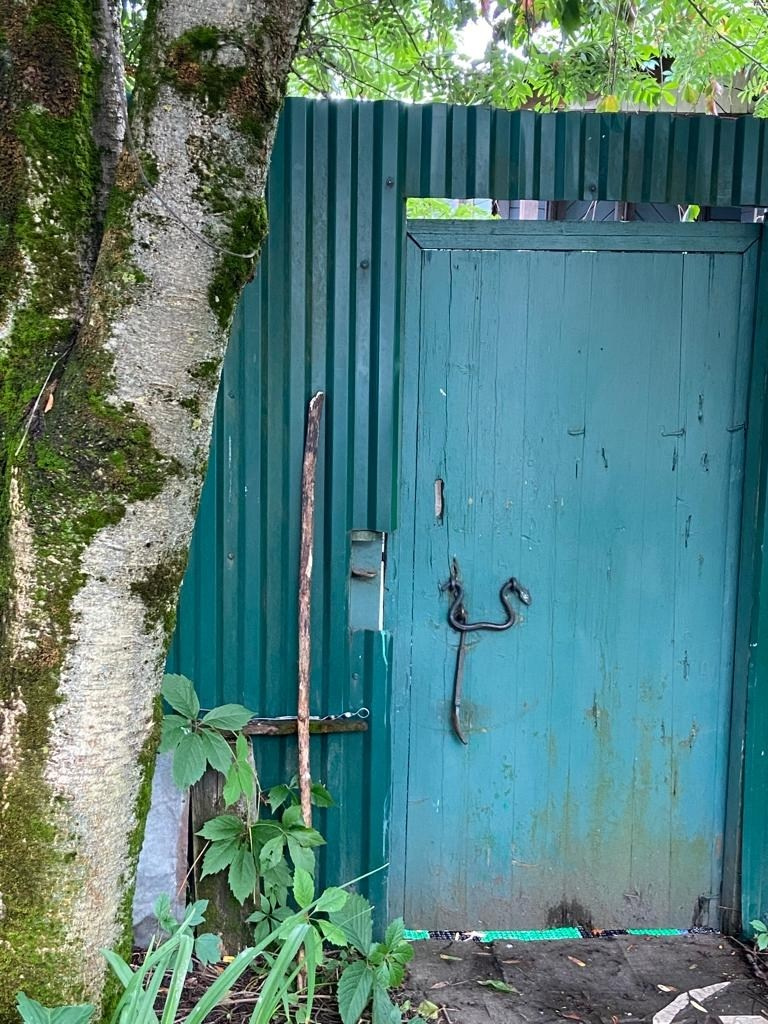 Звенигород | 29.06.2023. Галерея Фантим