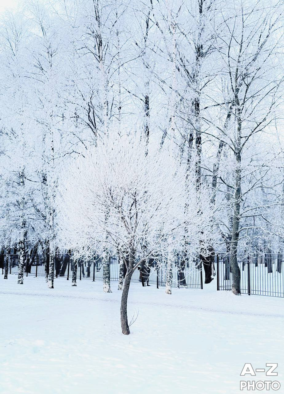 #ФОТОНЕДЕЛИ 09.02.2026. Женский семейный фотограф Тула Москва Захарова Анна