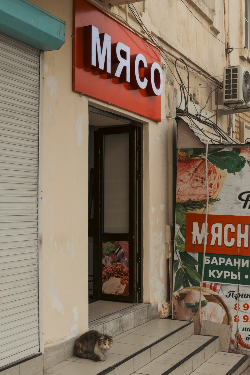 Махачкала. Photomantis