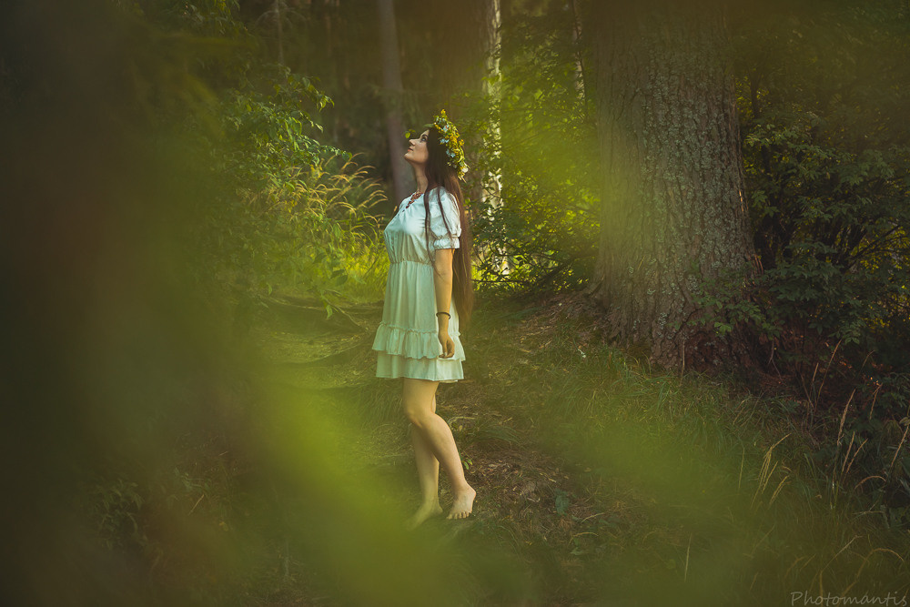 Фотосъёмка на природе. Photomantis