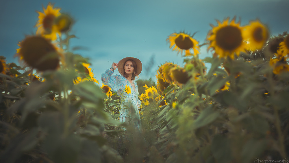 Фотосъёмка на природе. Photomantis