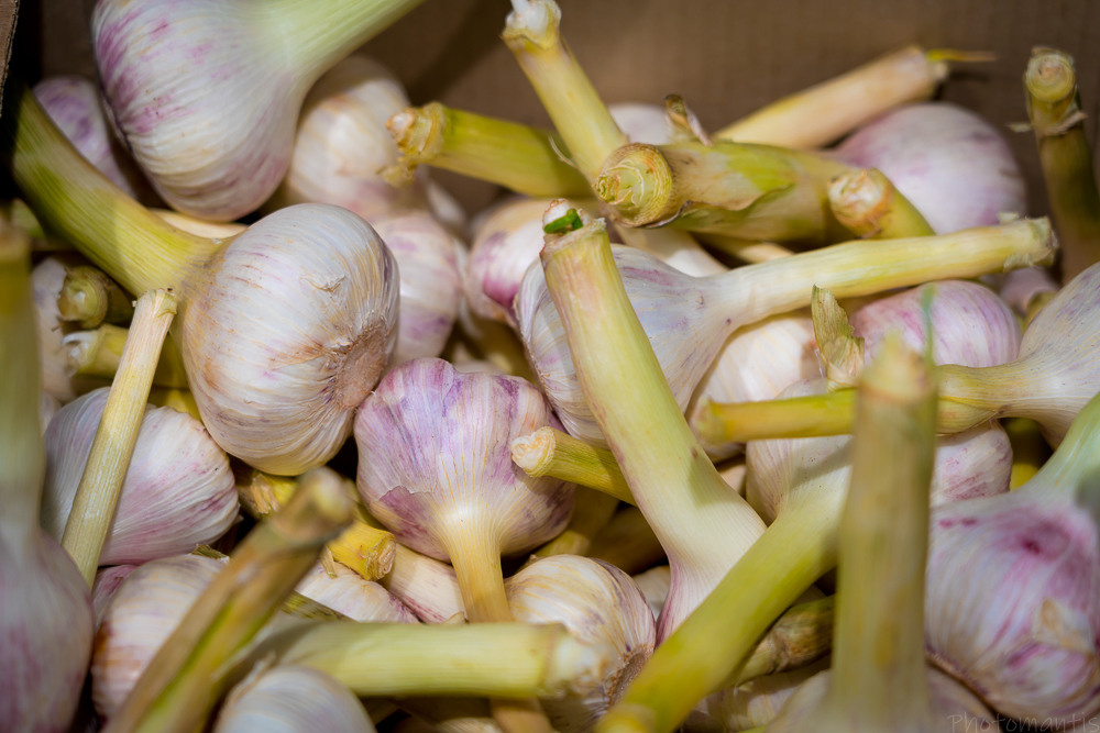 Супермаркет. Photomantis