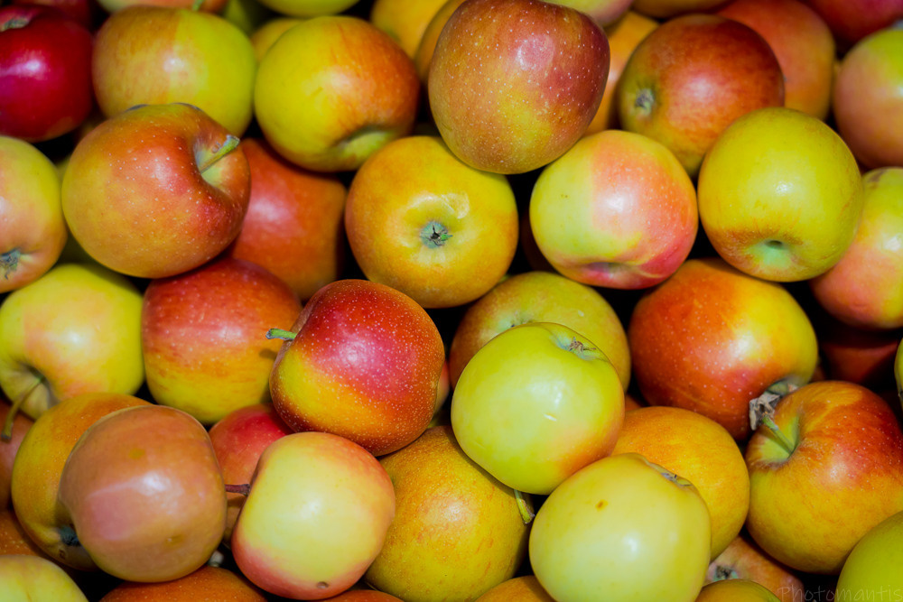 Супермаркет. Photomantis