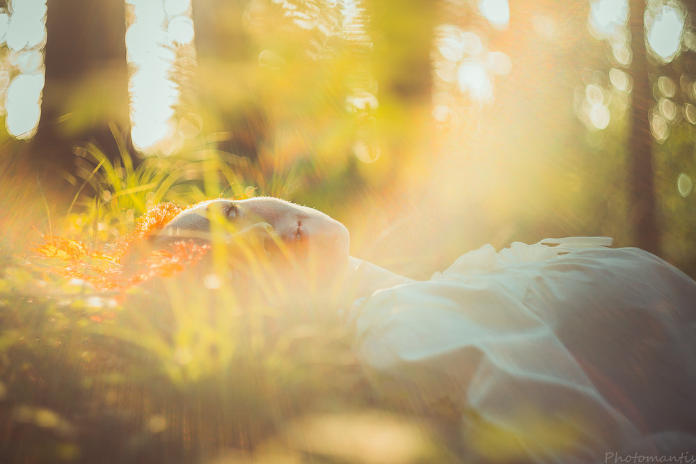 Фотосъёмка на природе. Photomantis