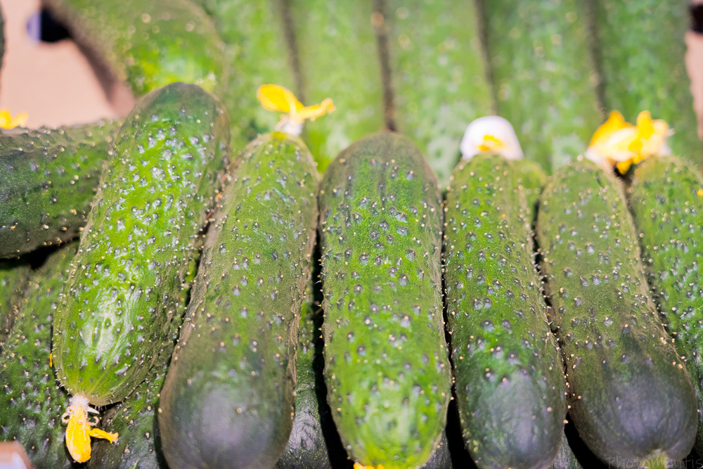 Супермаркет. Photomantis