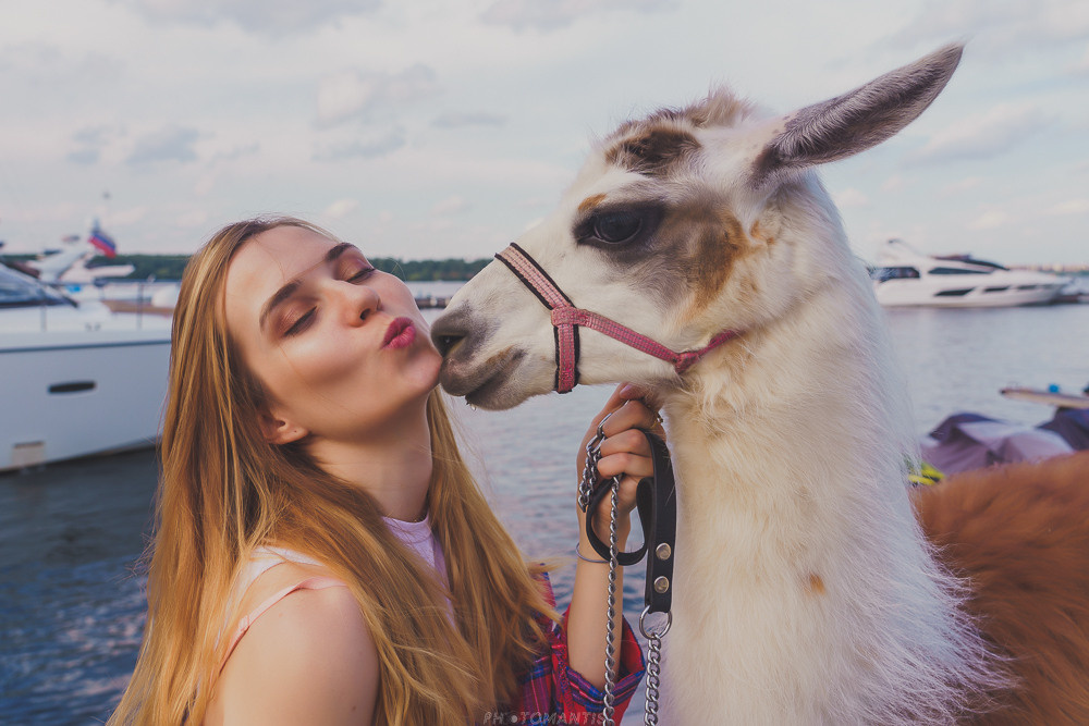 Фотосъёмка на природе. Photomantis