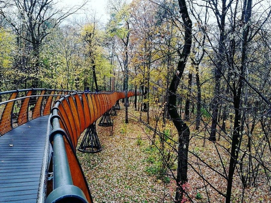 Фотосессия в тихом парке Москвы — уединённые места для камерных портретов