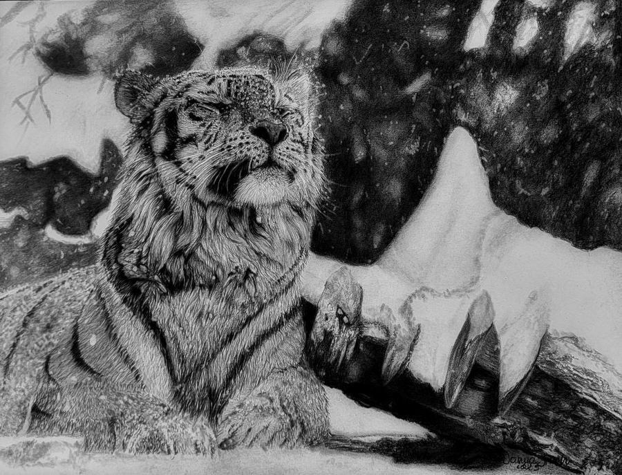 Финч Татьяна Николаевна. Галерея участников Российской Премии Искусств