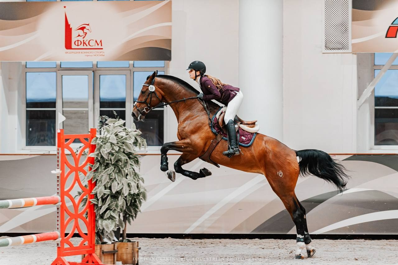 ВСЕРОССИЙСКИЕ СОРЕВНОВАНИЯ ПО КОНКУРУ НА ПРИЗЫ КСК «ВИВАТ, РОССИЯ». Куракина Дарья • Конный фотограф