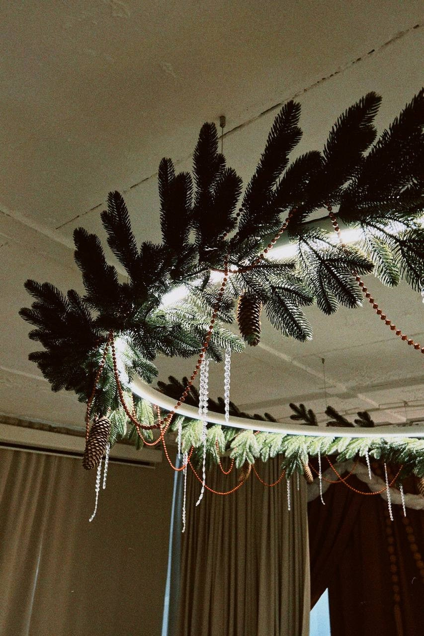 М4 Елка. Фотограф Настя Лев