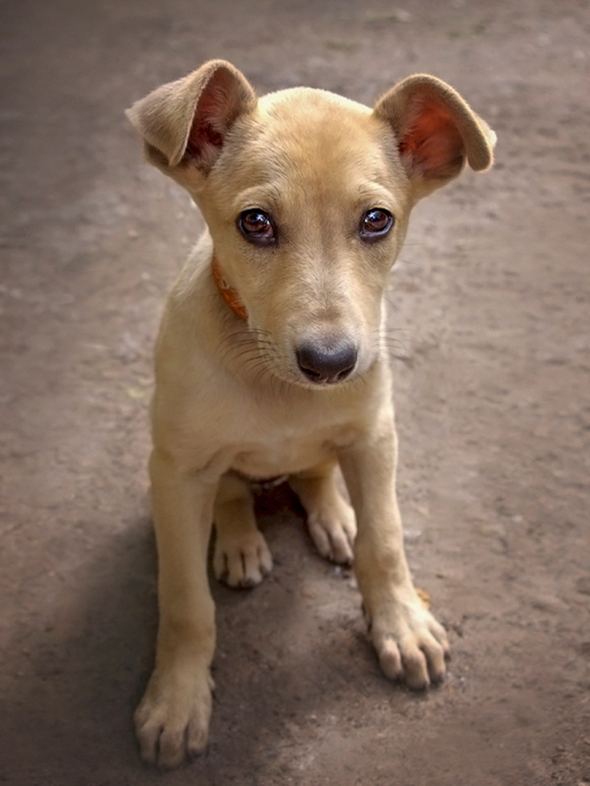 Волонтёрство. Монохромный фотограф