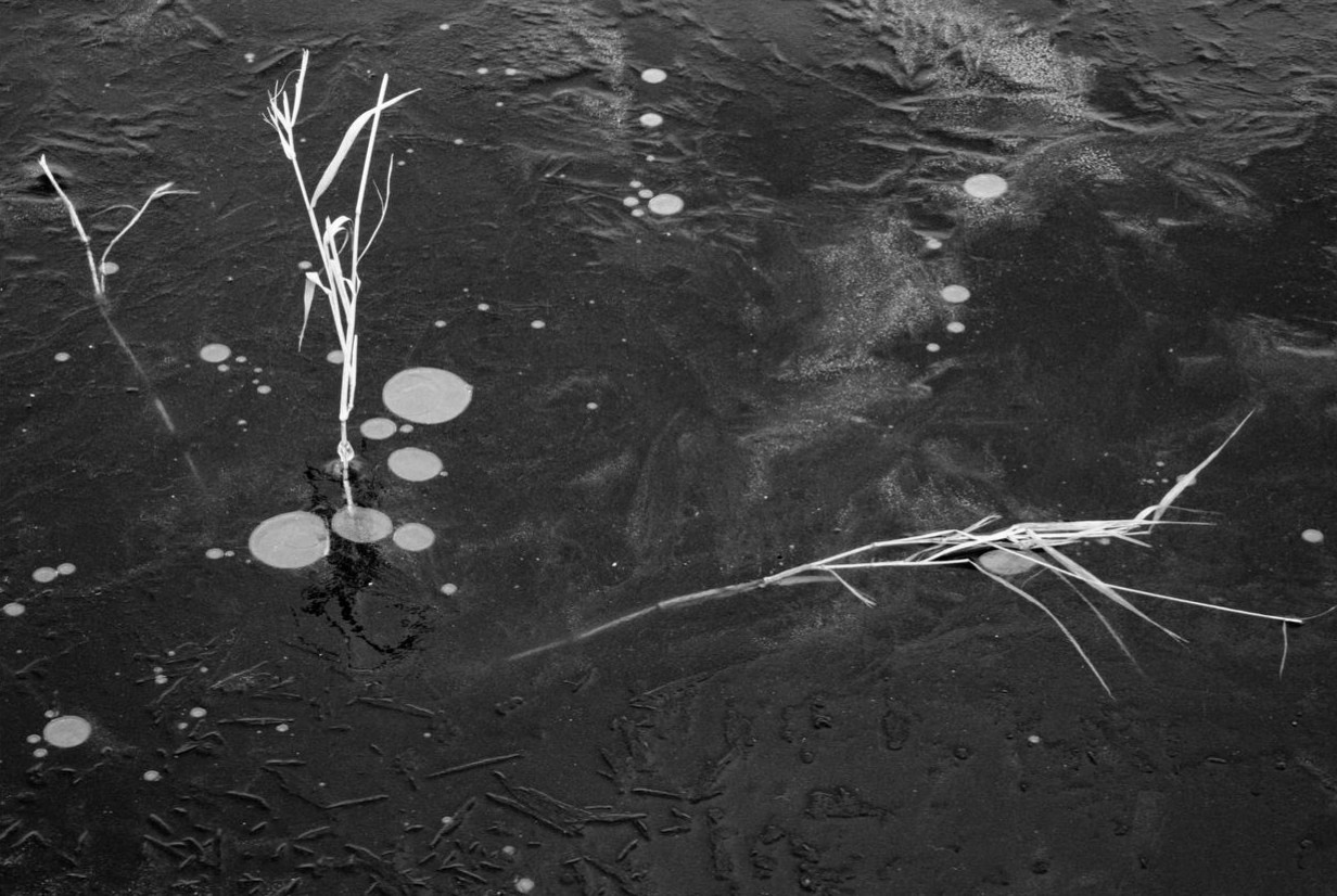 Уличная. Уральское создание