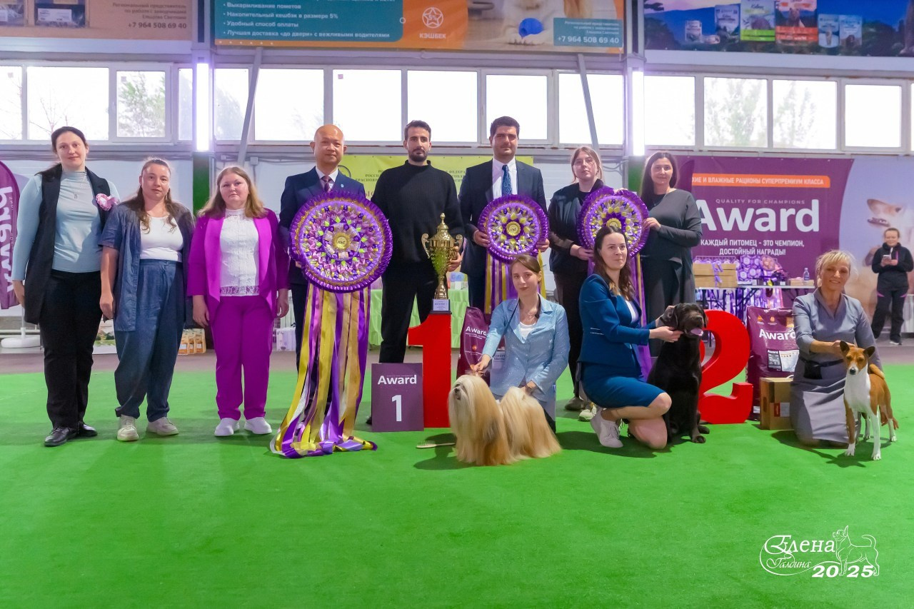 💕Отзывы. Фотограф анималист Елена Галдина г. Красноярск