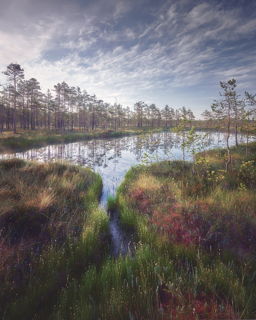 Озерно — болотные заповедники. Красота природы. Фотограф Кононов Антон
