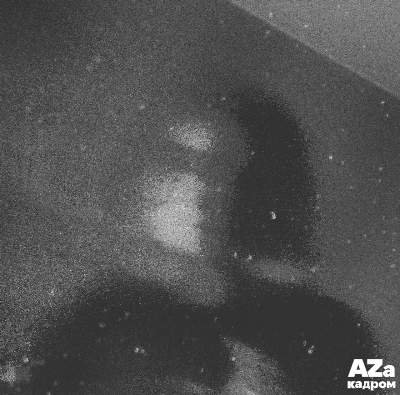 AZакадром «Отражения». Женский семейный фотограф Тула Москва Захарова Анна