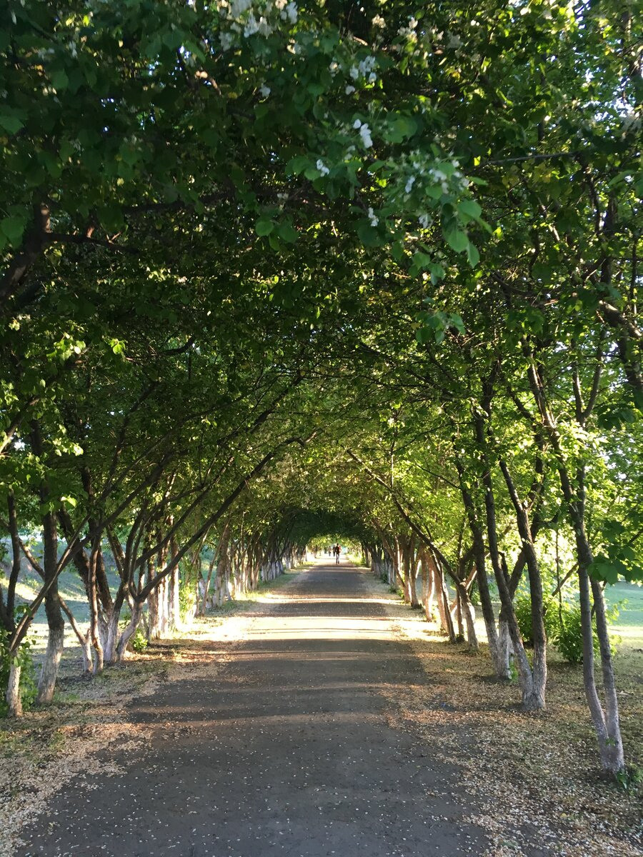 Уличные локации. Семейный фотограф Тюмень Ксения Дереглазова