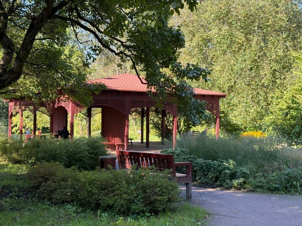 Фотомаршруты по центру Питера (1). Детский и семейный фотограф Афанасьева Ольга. Санкт-Петербург