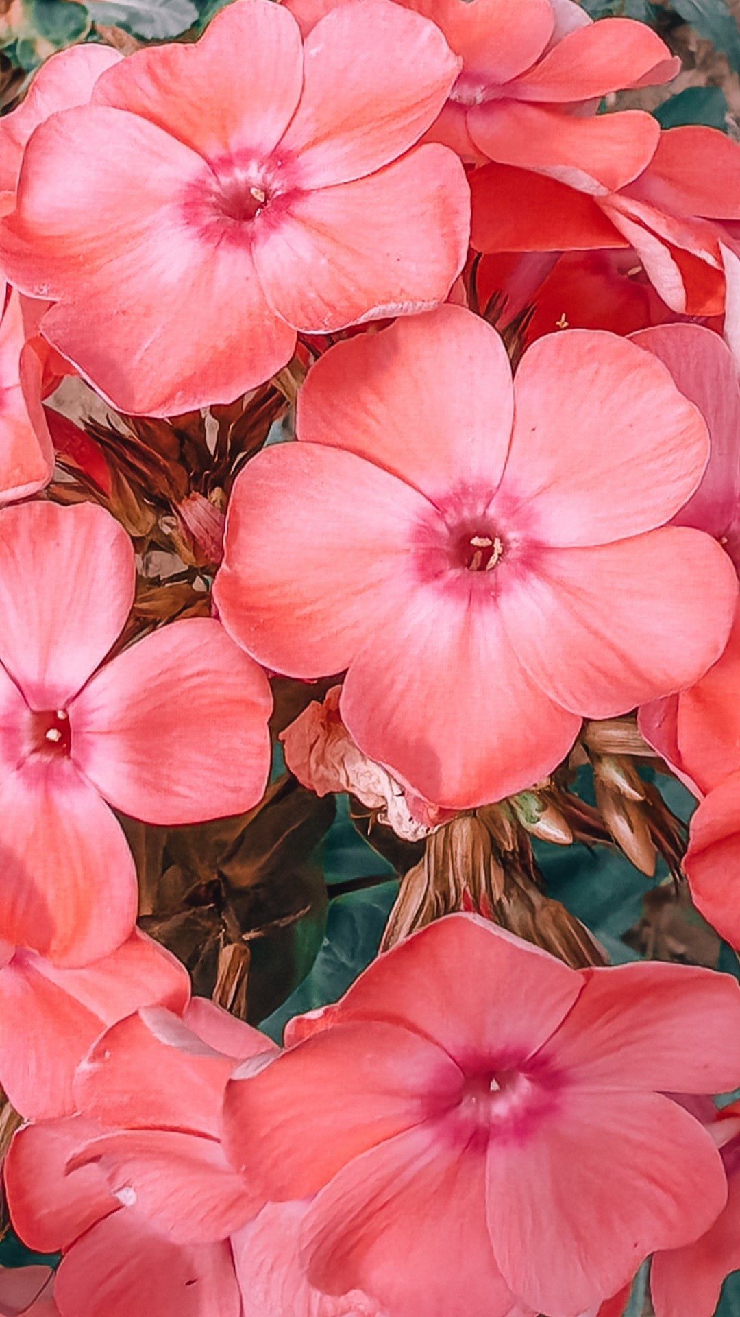 Академия фотографии. Фото/Ретушь/Обучение