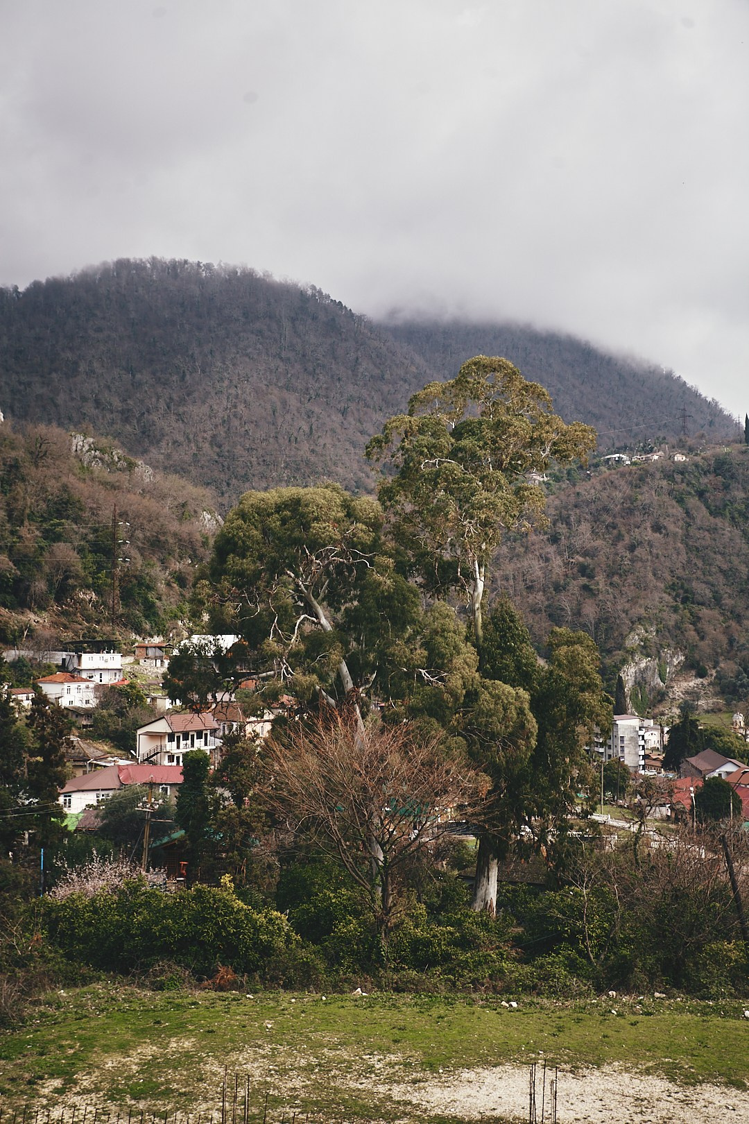 Фотографии с поездки в Абхазию в Новый Афон. Фотограф в Сочи Катя Гончарова
