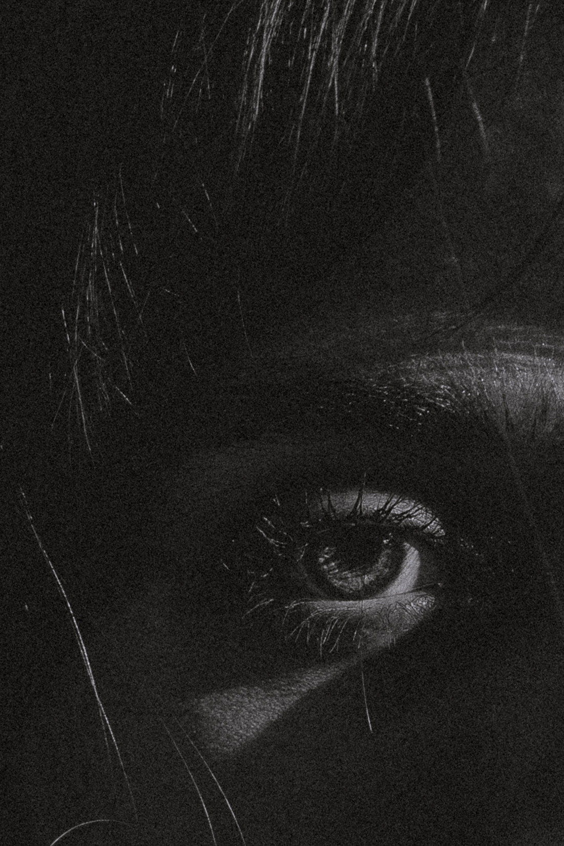 Фотосессия Ани с цветком. Фотографирую пары и индивидуальные съемки в Алматы Шунько Ирина