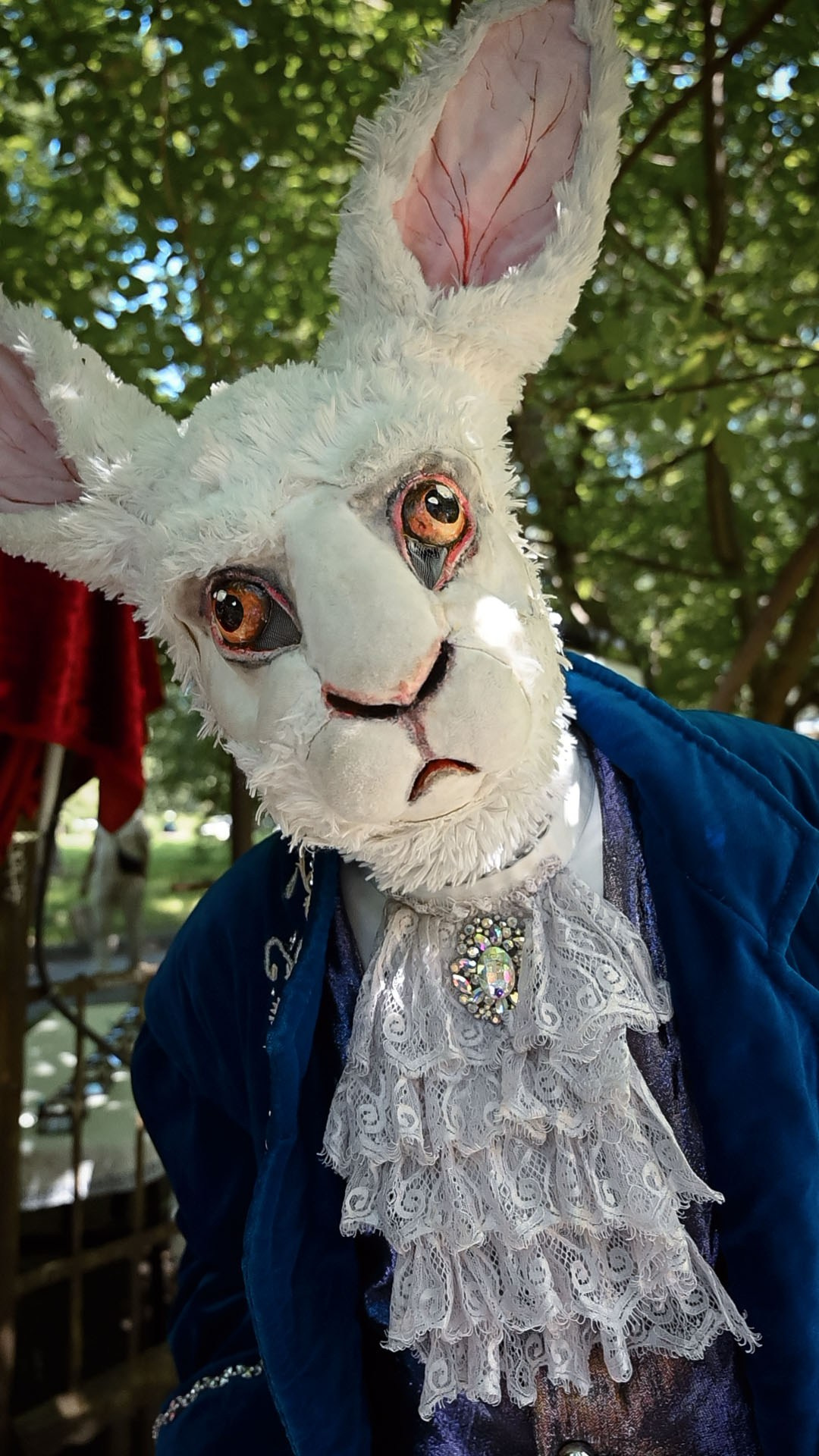 «Алиса в стране чудес». ZDARONOKIA Репортажный фотограф