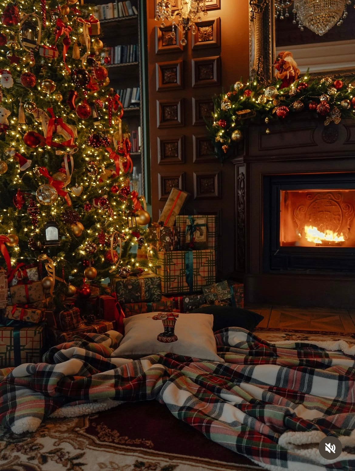 Фотостудия Leonastage, зал «Библиотека». Ольга Брайт Семейный и Контент Фотограф в Санкт-Петербурге