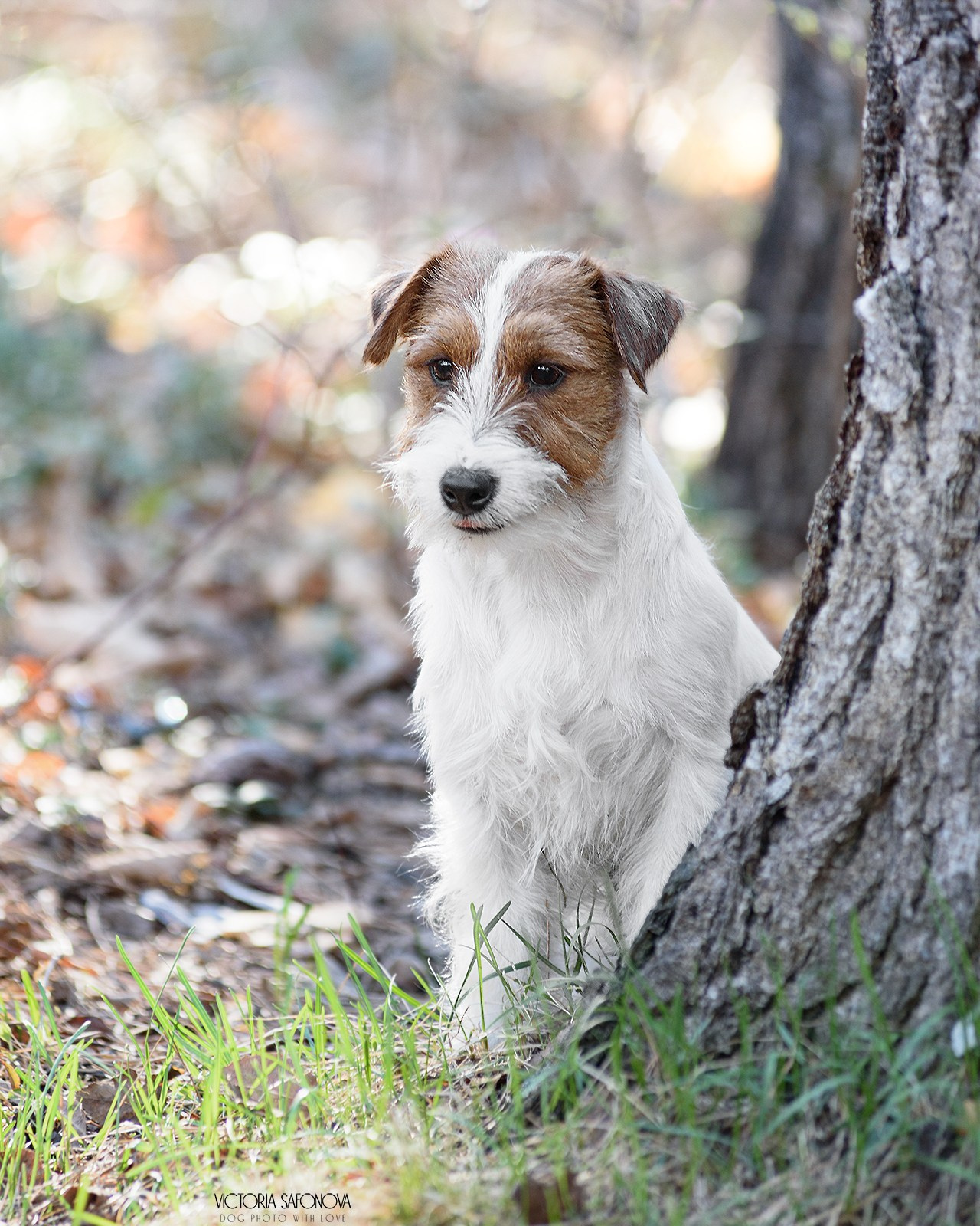 Висп 05.05.2024. Фотограф анималист Благовещенск. Сафонова Виктория