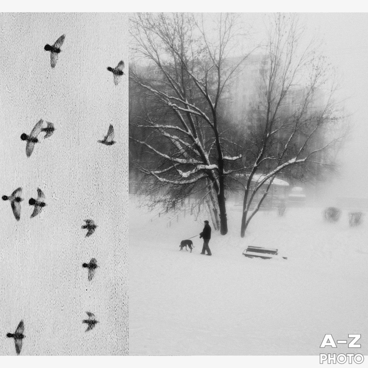 #ФОТОНЕДЕЛИ 19.01.2026. Женский семейный фотограф Тула Москва Захарова Анна