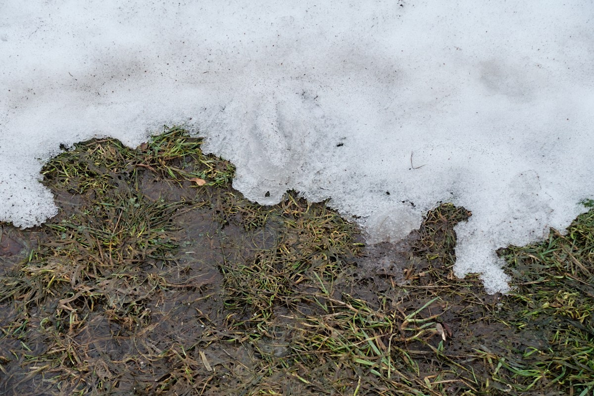 Слово, в котором стерли одну букву. Иван Кобяков