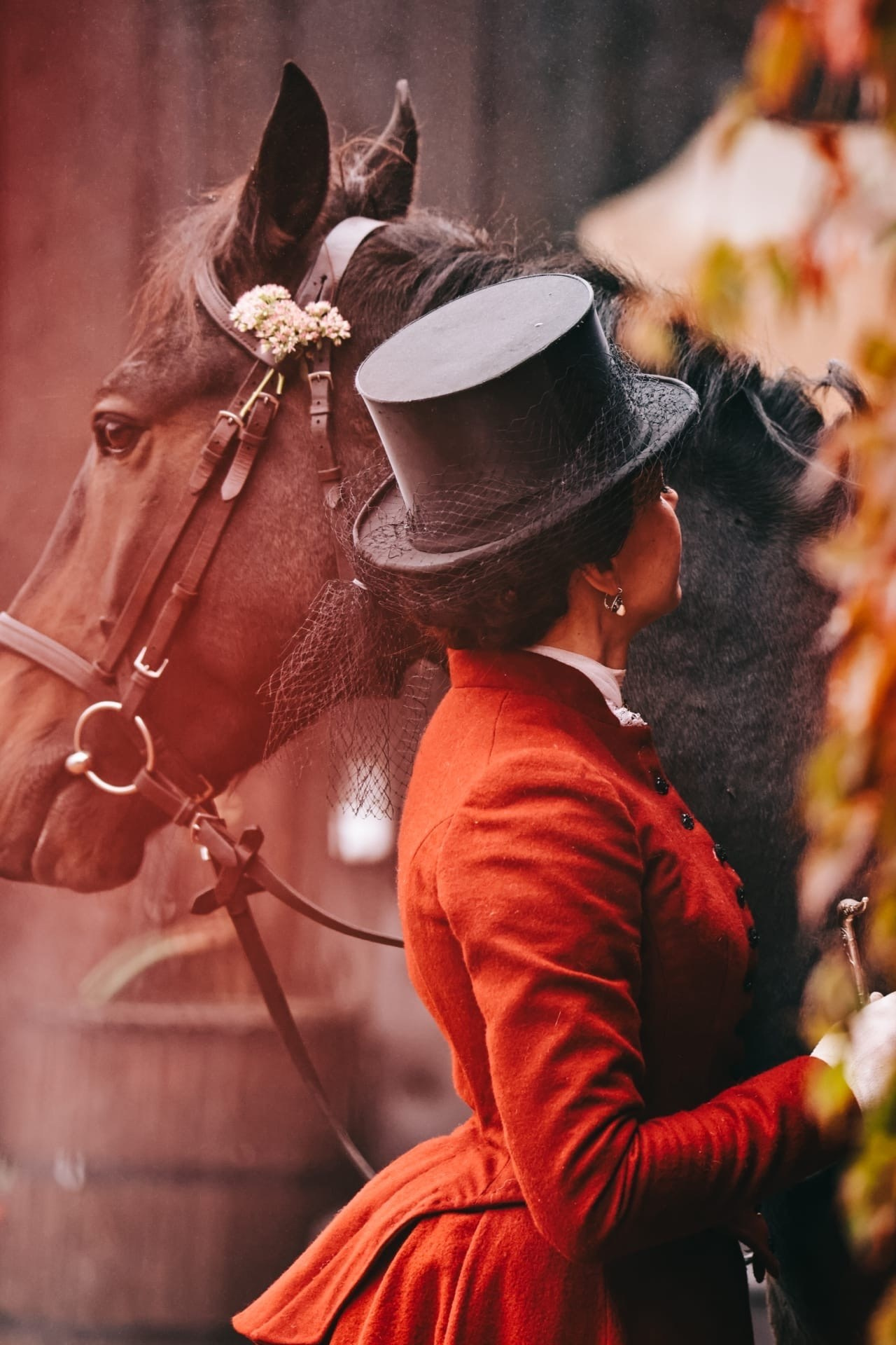 Фотосессия с лошадью, с лошадьми, лошади