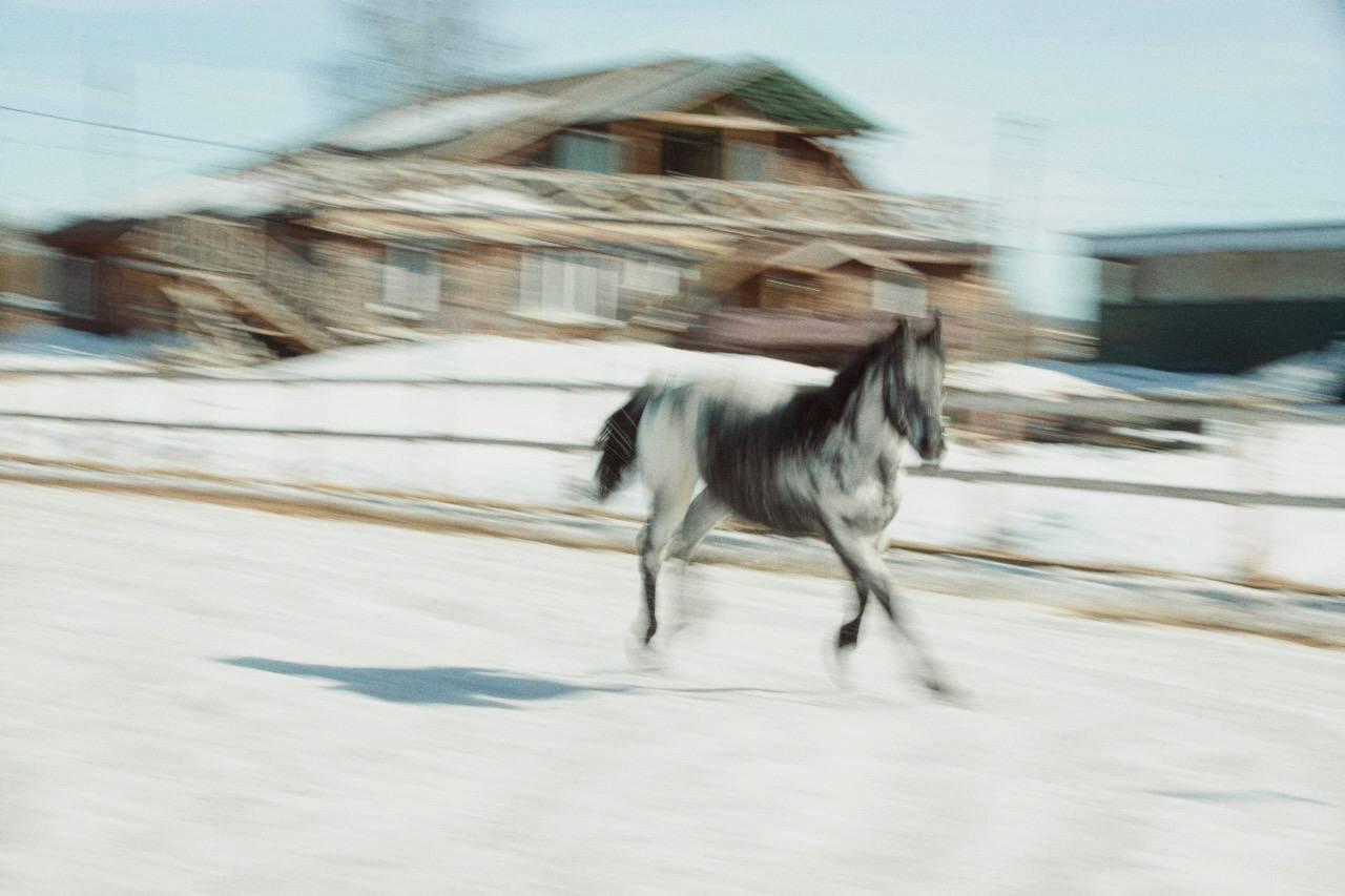 КРЫЛЬЯ творческая мастерская 25-26. Онлайн фотошкола просто о фото, фотограф, психолог фототерапия москва сочи анна ивкина