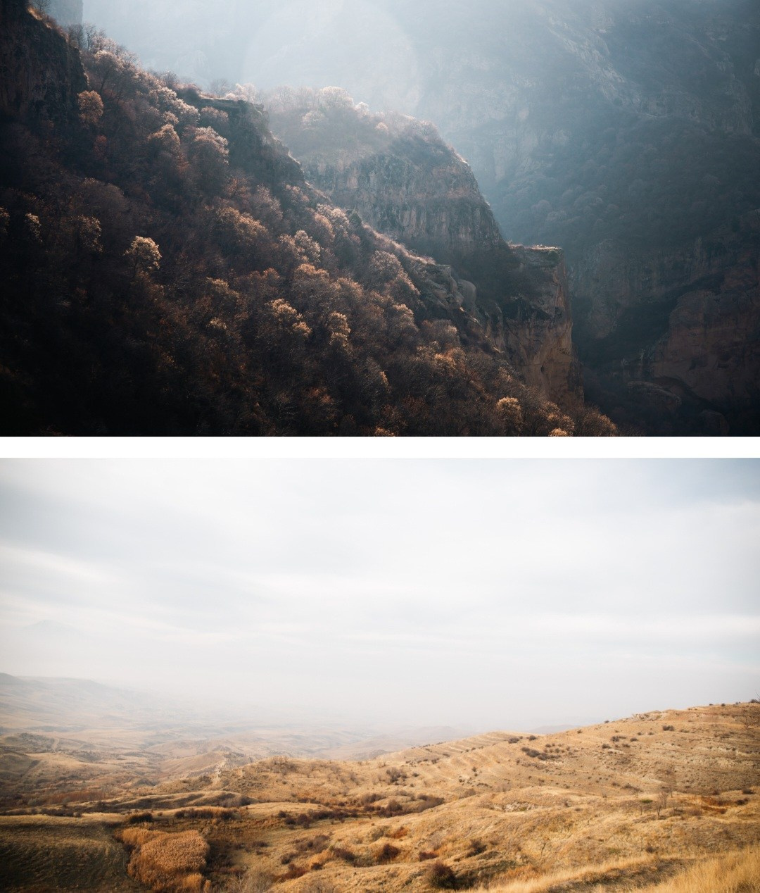 Эстетика. Фотограф Елена Ярмуш