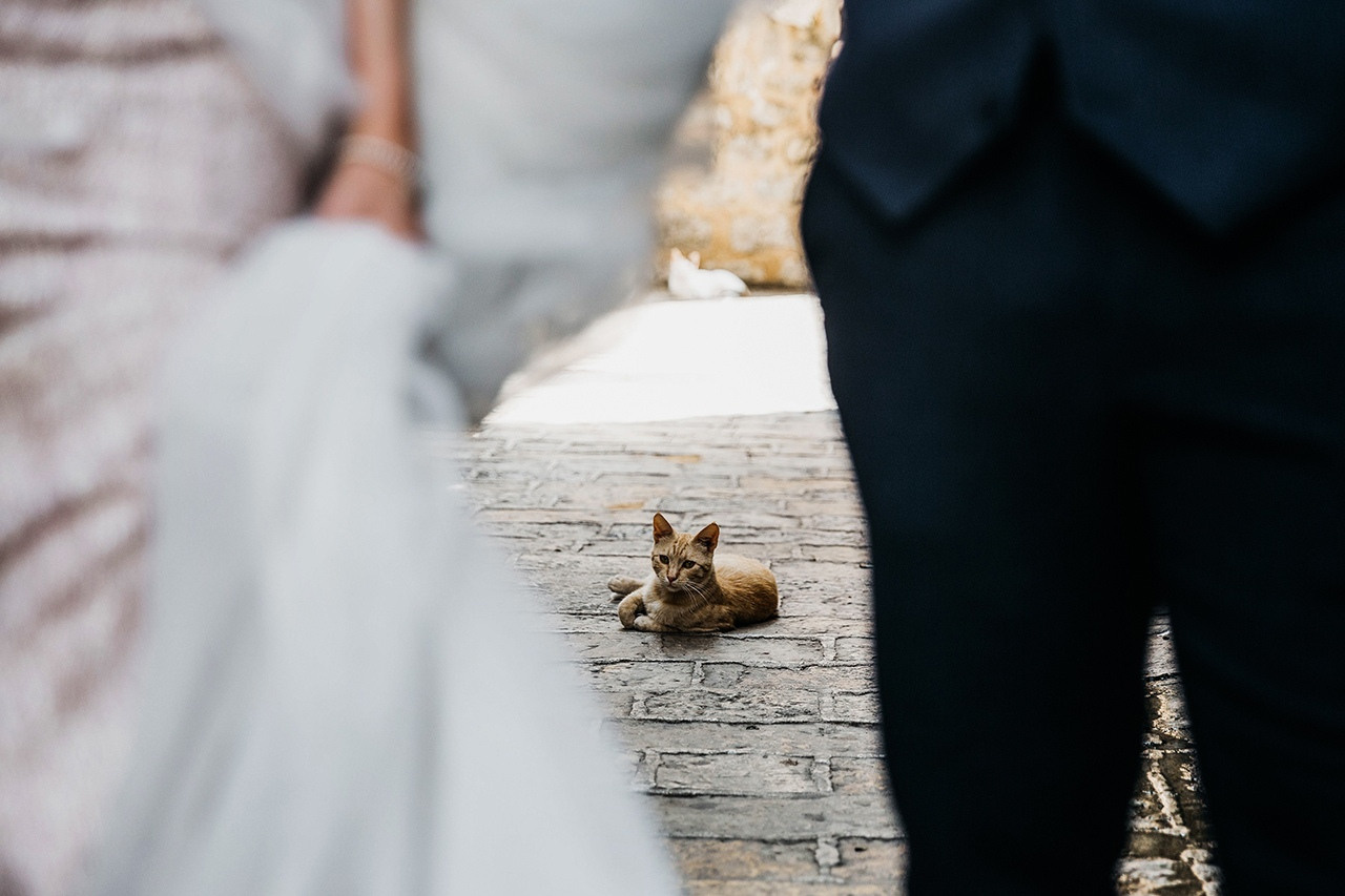 Лиза и Гор. Свадебный и семейный фотограф Евгения Россинская