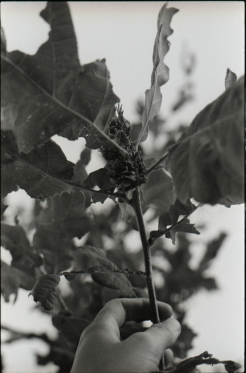 The Flow. 2010-2019. Maria Dupovkina — a visual artist from Russia