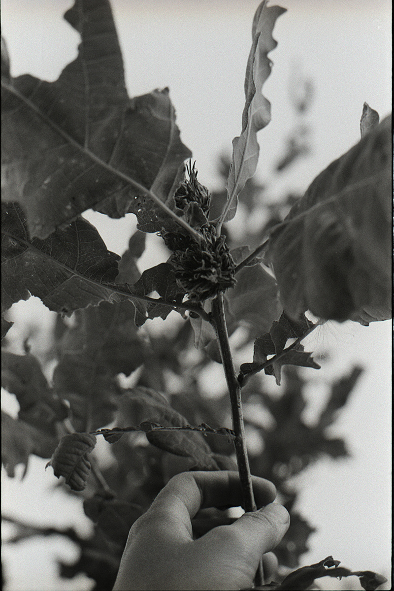 The Flow. 2010-2019. Maria Dupovkina — a visual artist from Russia