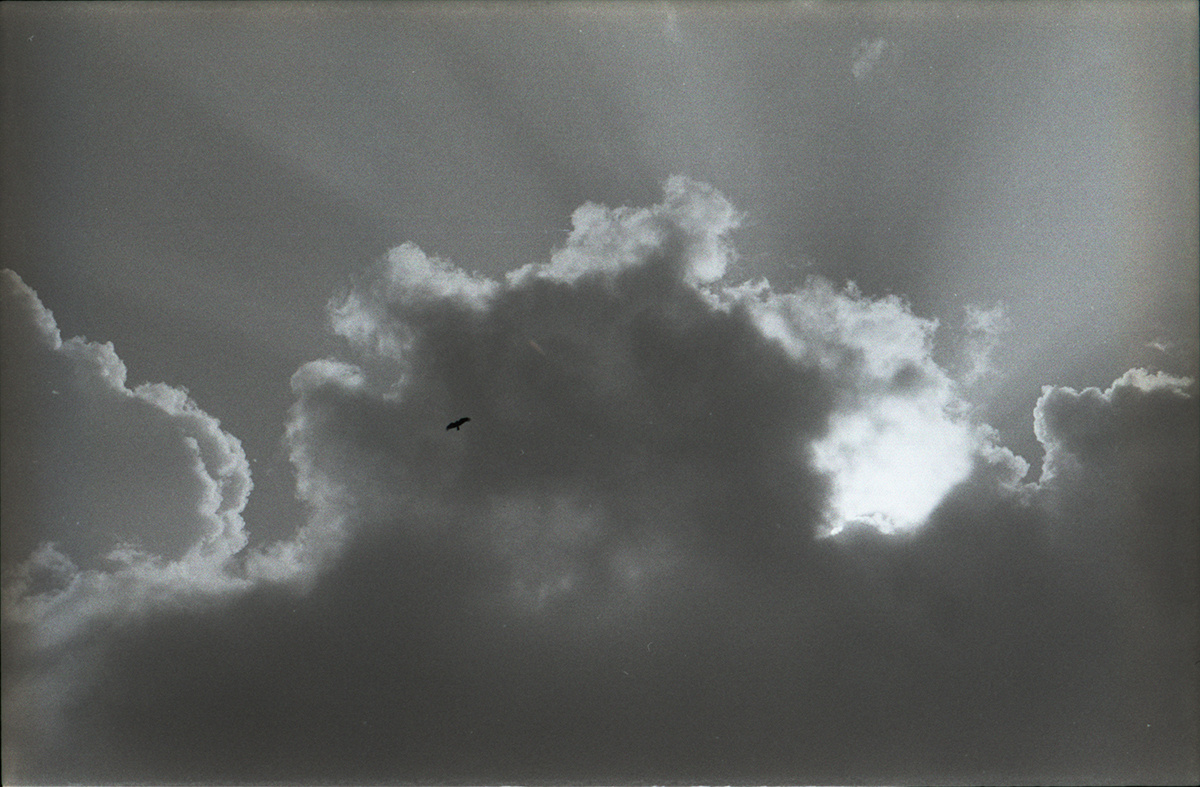 The Flow. 2010-2019. Maria Dupovkina — a visual artist from Russia