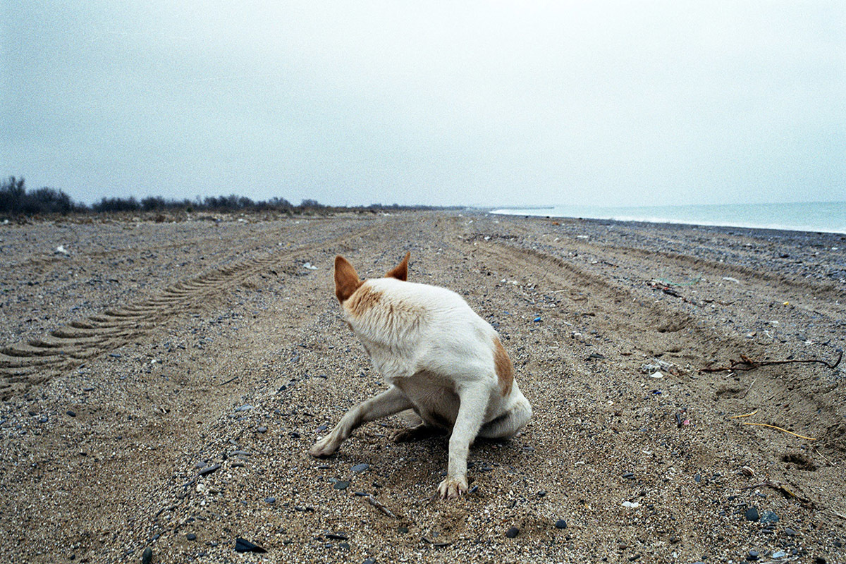 On the rave's grave. Maria Dupovkina — a visual artist from Russia