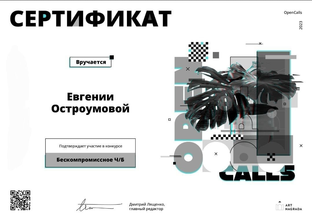 Награды. Художественный фотограф. Фотосессии, Обучение, Ревью