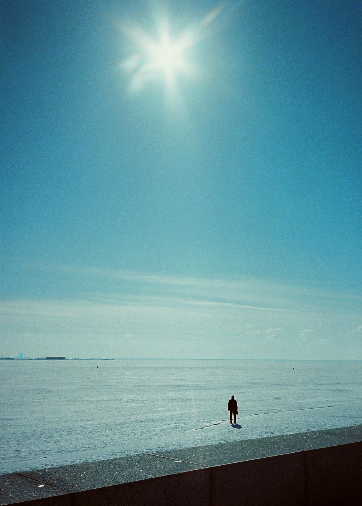 Strangers. Alina Panover