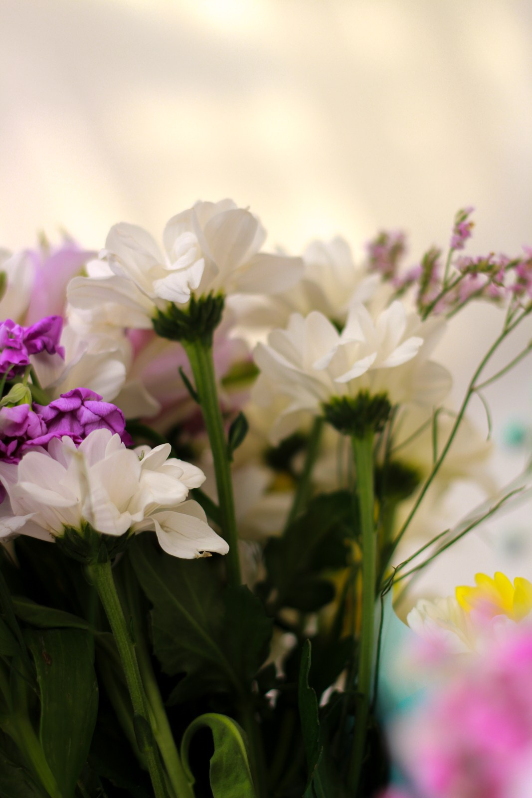 Выездное день рождение. Фотограф Надршина Лилия