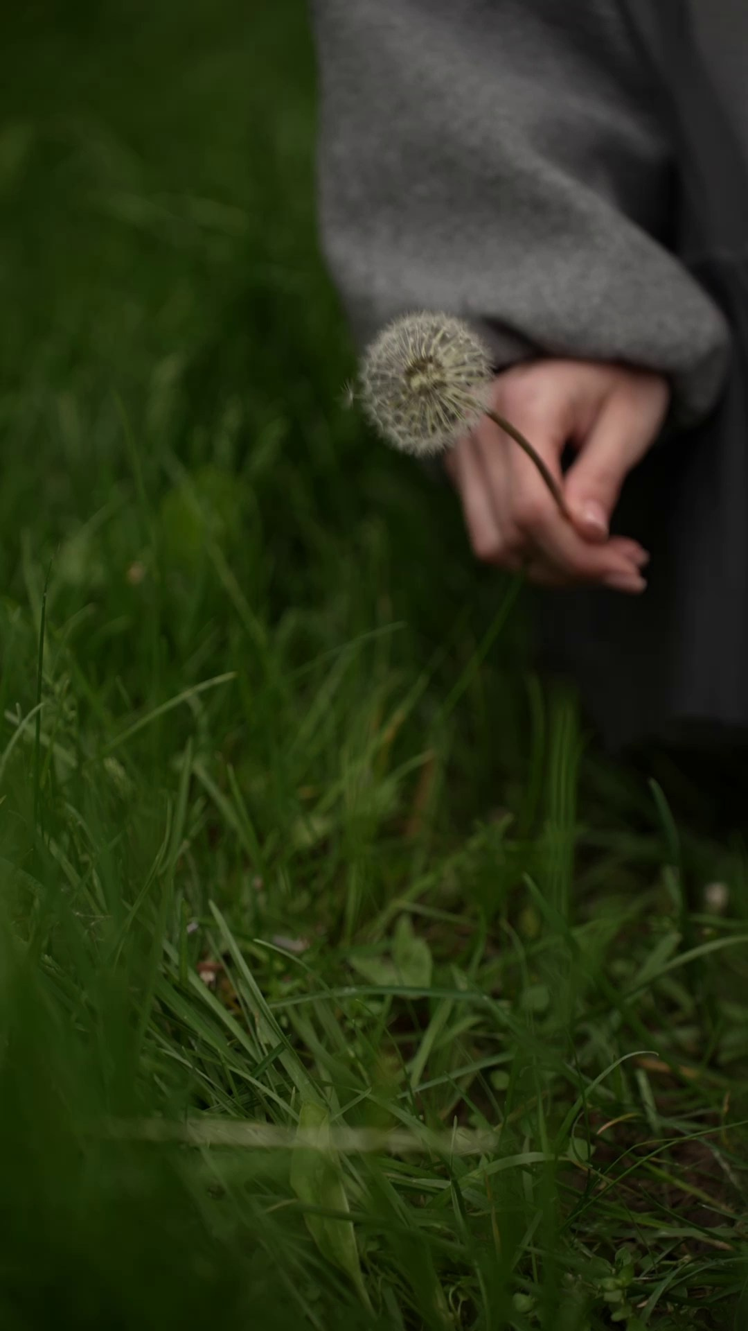 Имидж. Видеограф Марина Аветисян