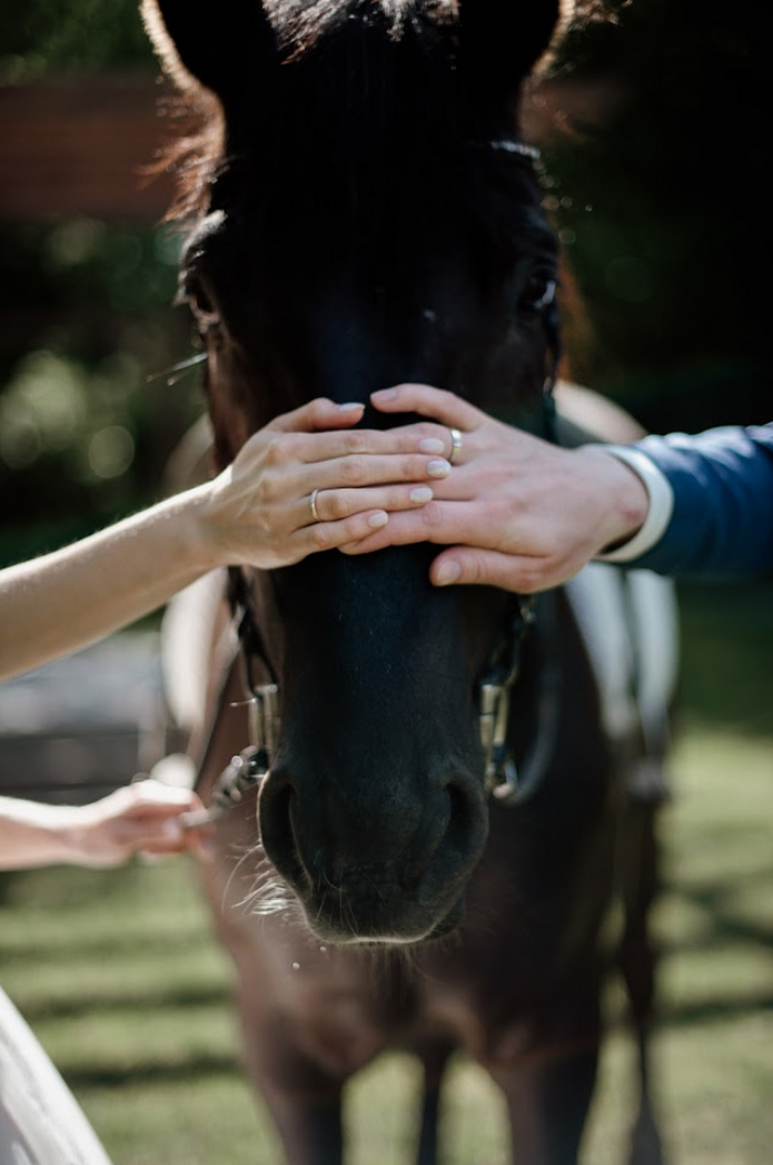 Площадка № 2-6. Свадебный организатор Москва